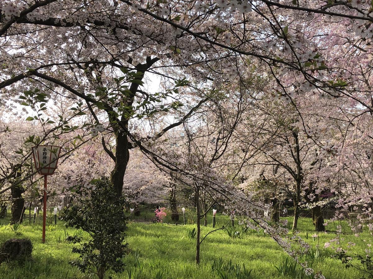 Petit Alla Seta Kyoto
