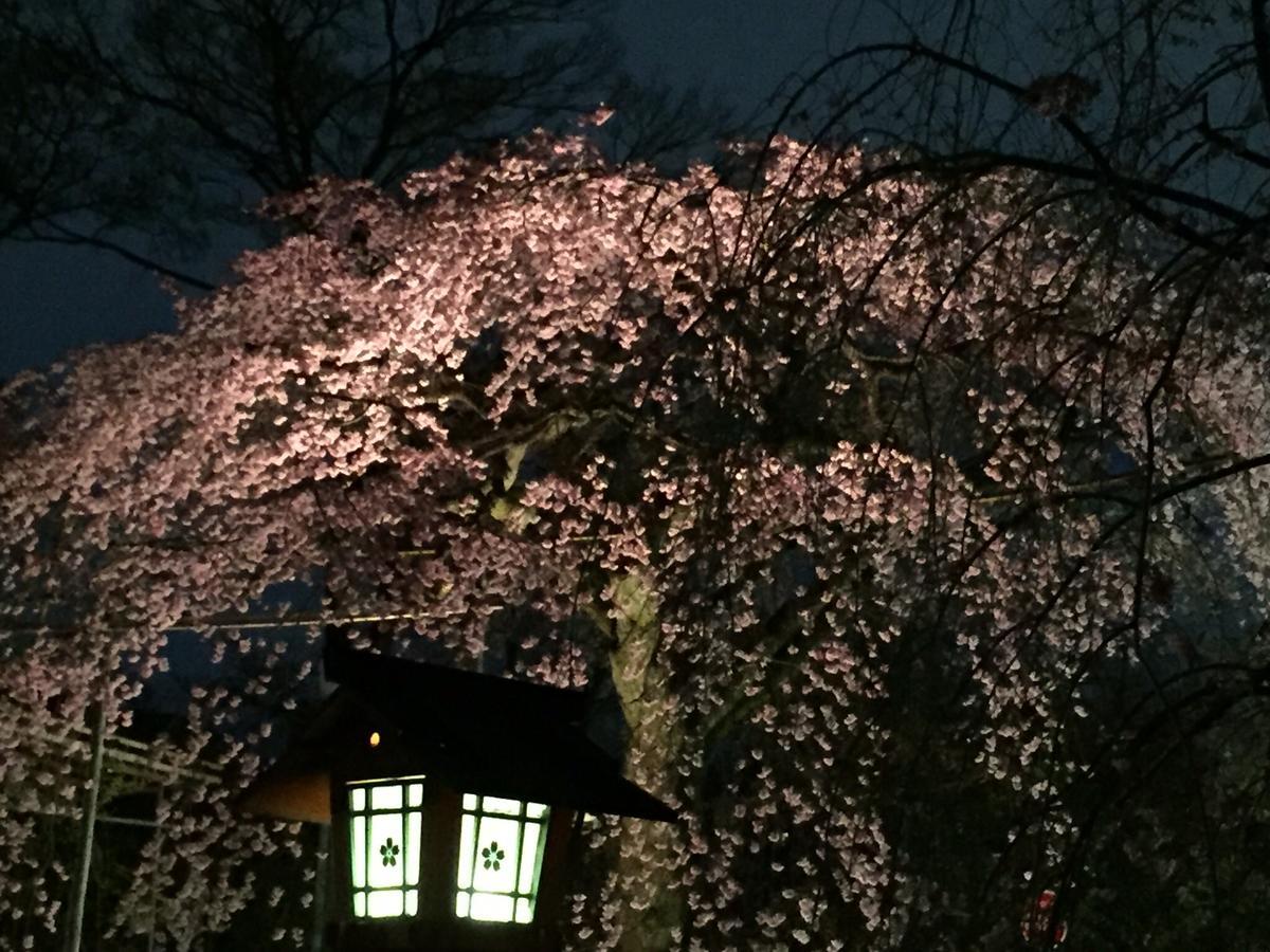 Petit Alla Seta Kyoto