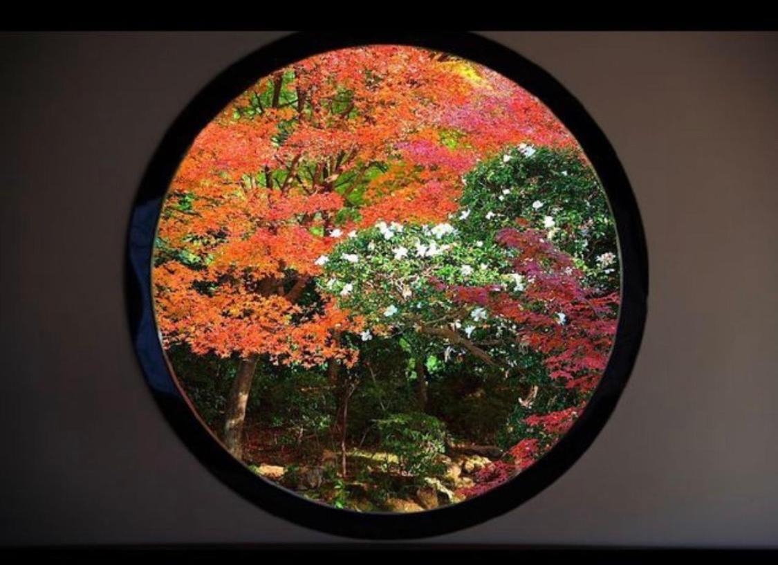 Petit Alla Seta * Kyoto
